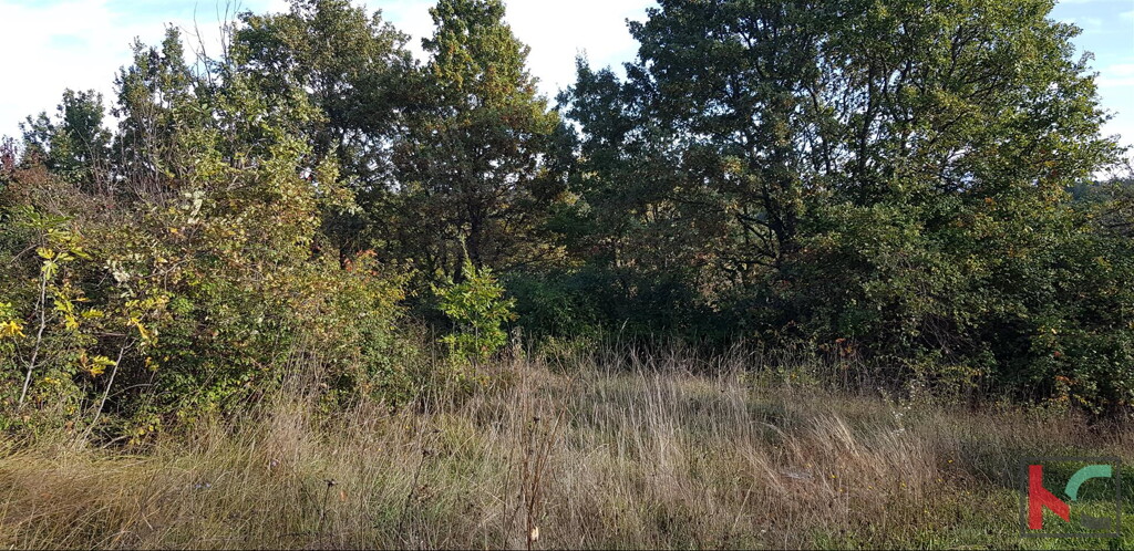 Image 6230534 - 11