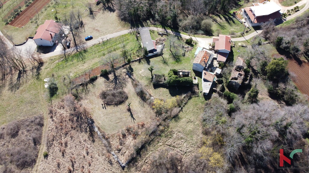 Image 6230534 - 19