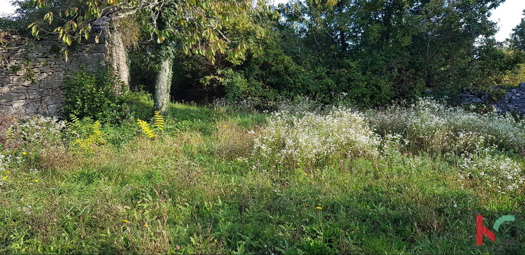 Image 6230534 - 7