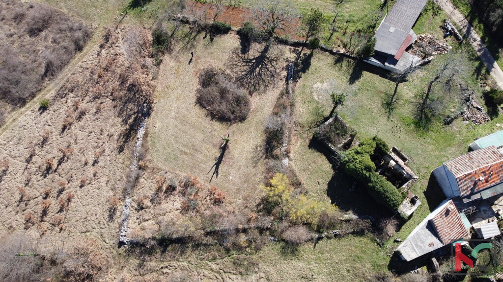 Image 6230534 - 12