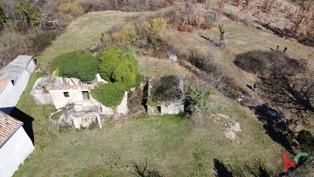 Image 6230534 - 1