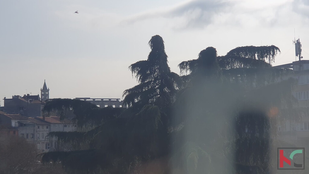 Image 6230535 - 17