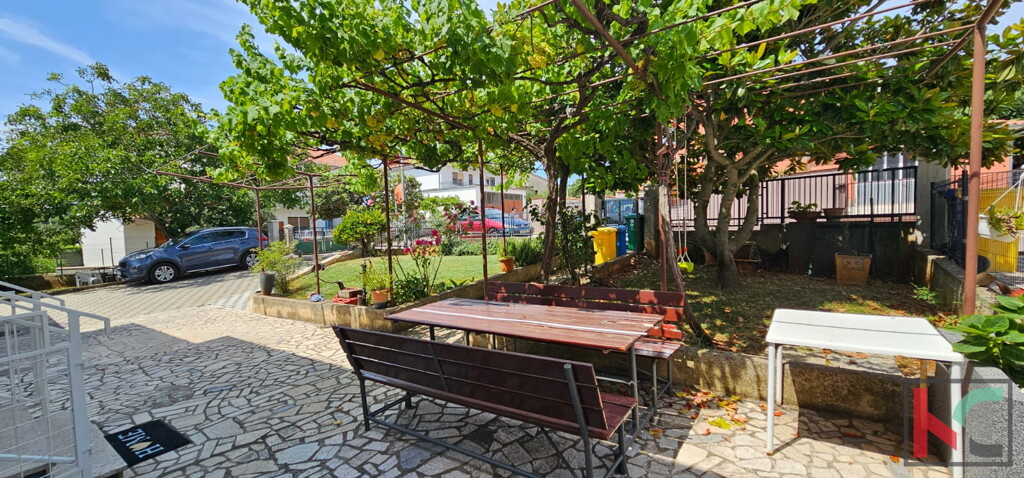 Image 6230536 - 1