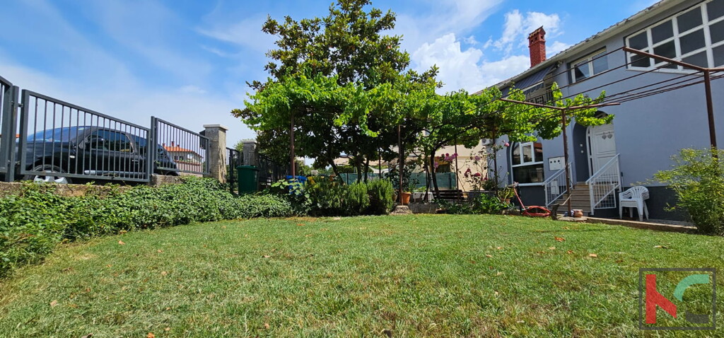 Image 6230536 - 27