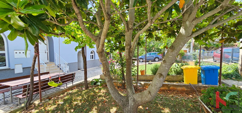 Image 6230536 - 25