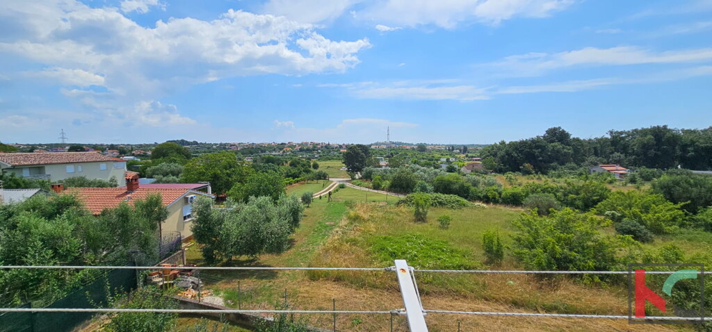 Image 6230536 - 5