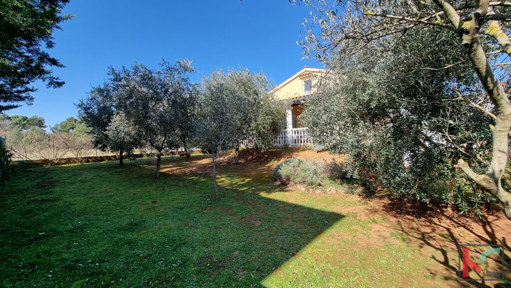 Image 6230537 - 3