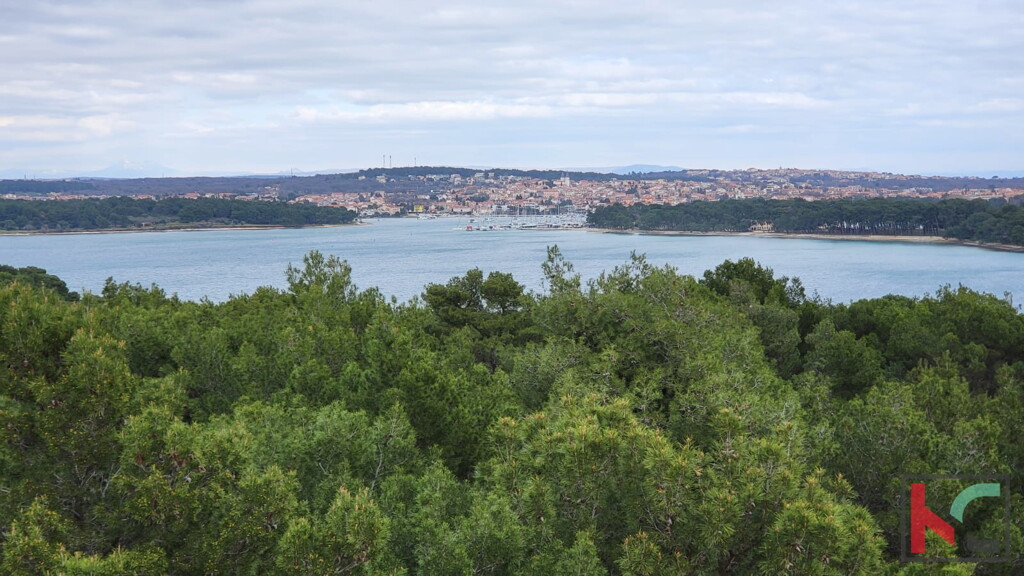 Image 6230538 - 1
