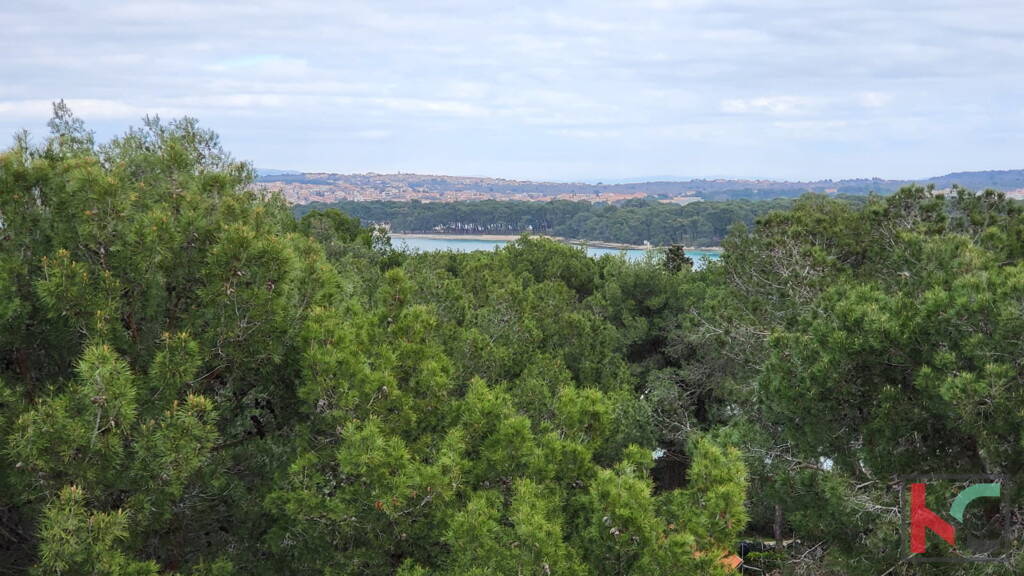 Image 6230538 - 7