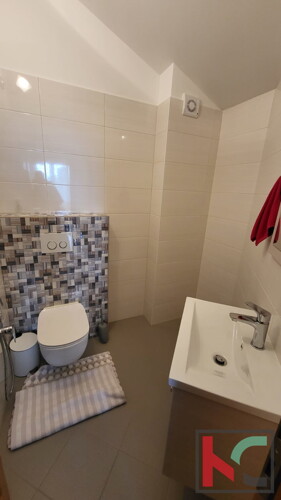 Thumbnail 6230538 - 6