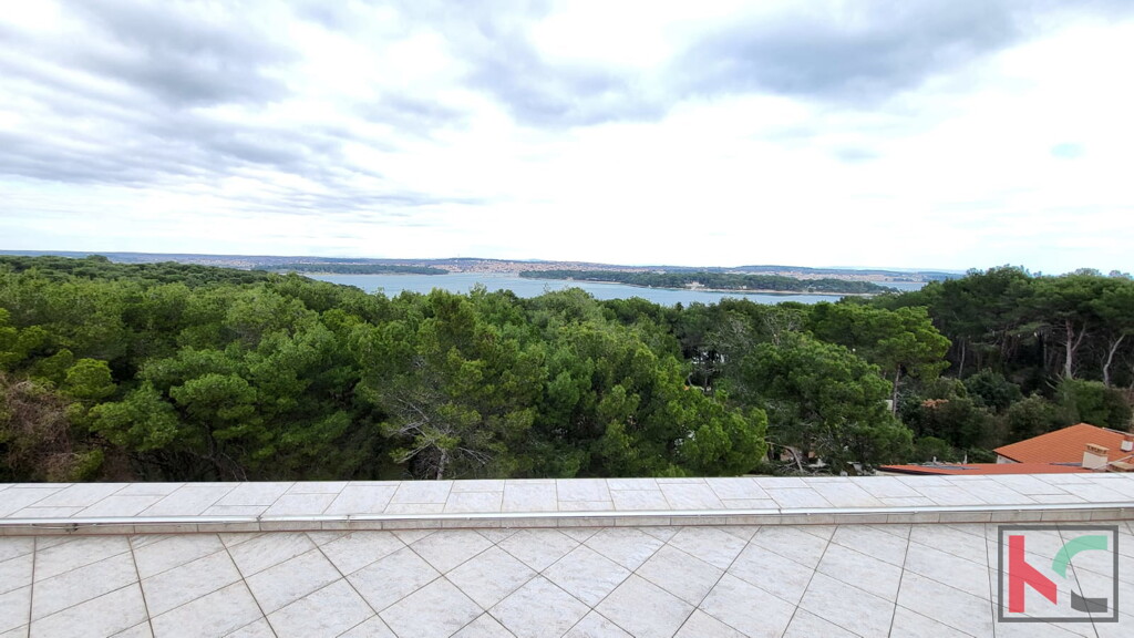 Image 6230538 - 5