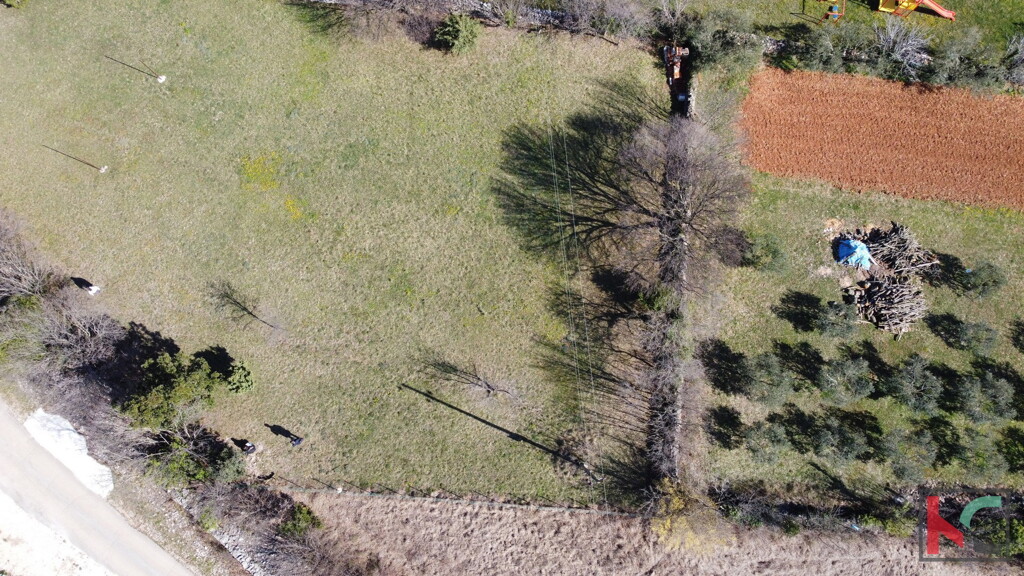 Image 6230541 - 9
