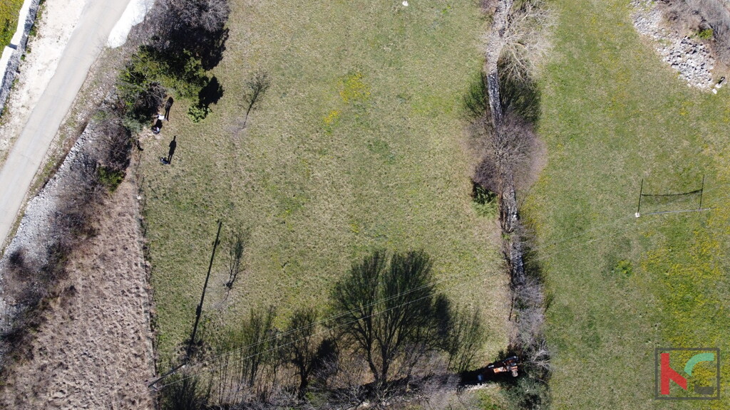 Image 6230541 - 10