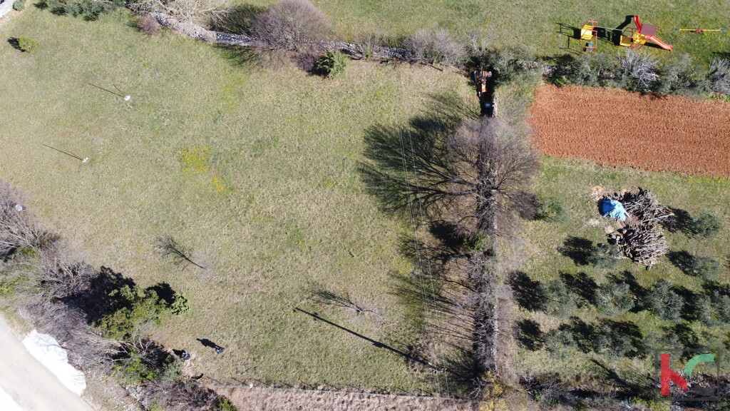 Image 6230541 - 4