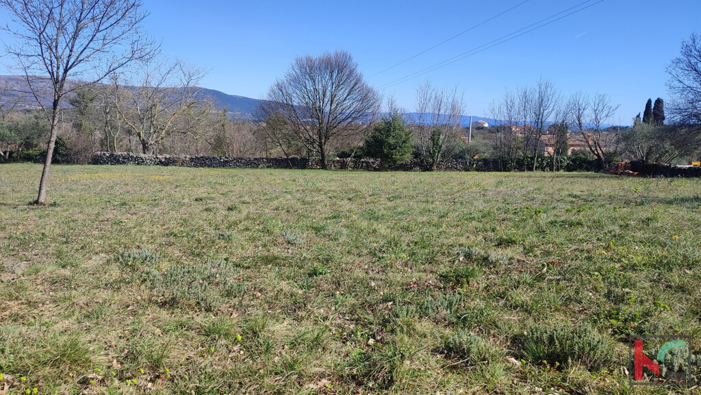 Image 6230541 - 2