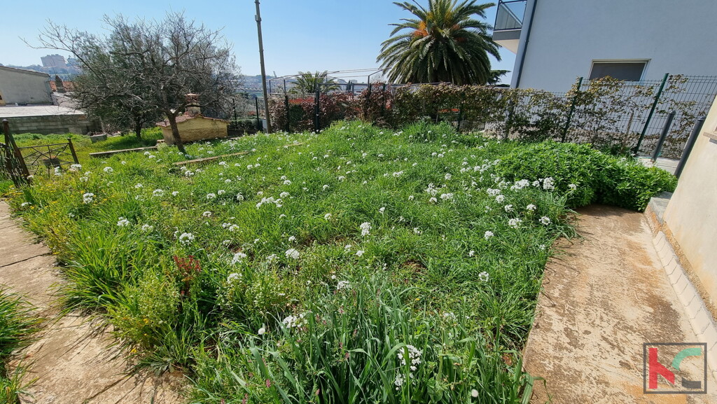 Image 6230544 - 17