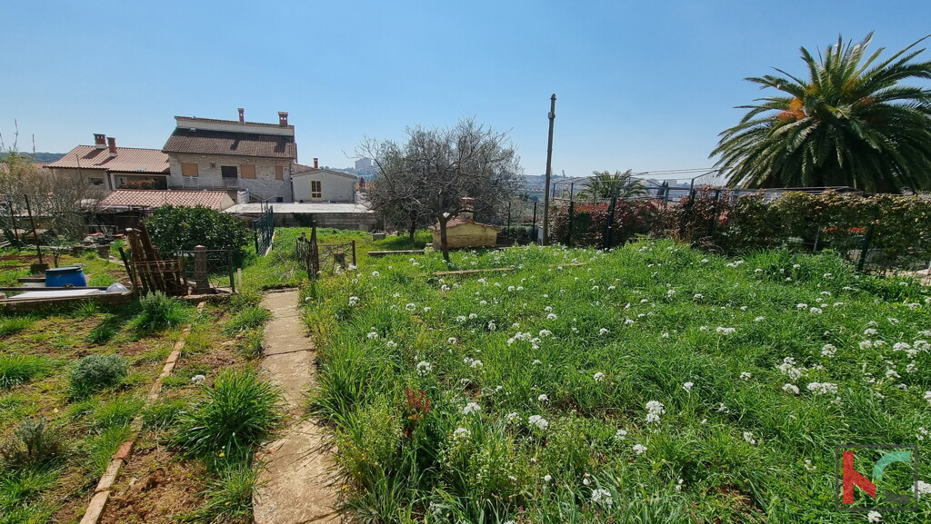 Image 6230544 - 4