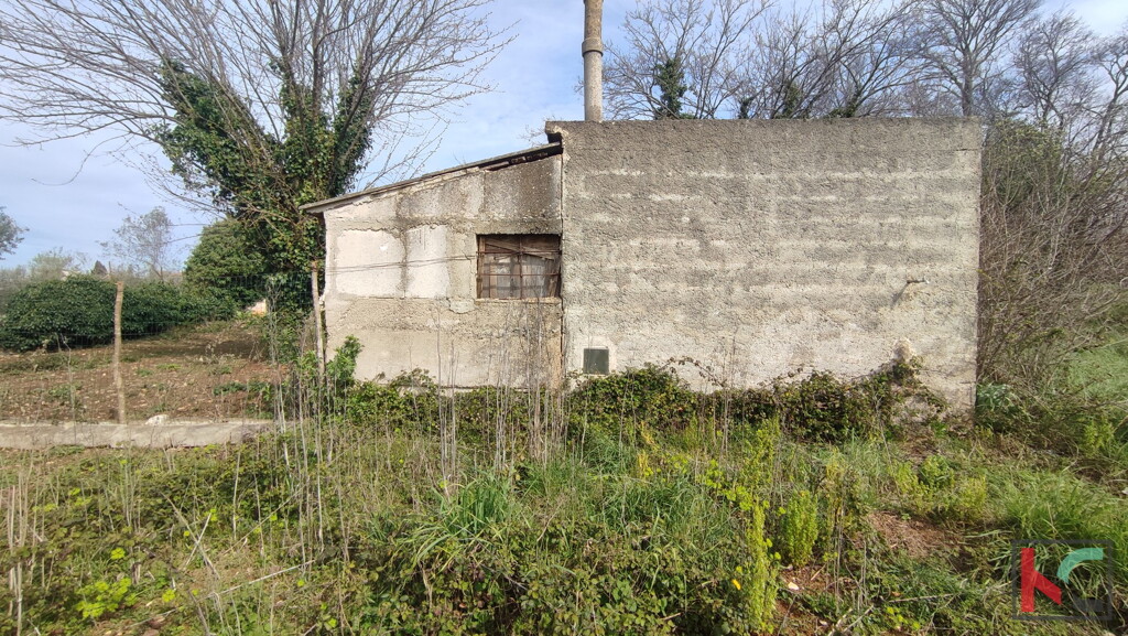 Image 6230545 - 3