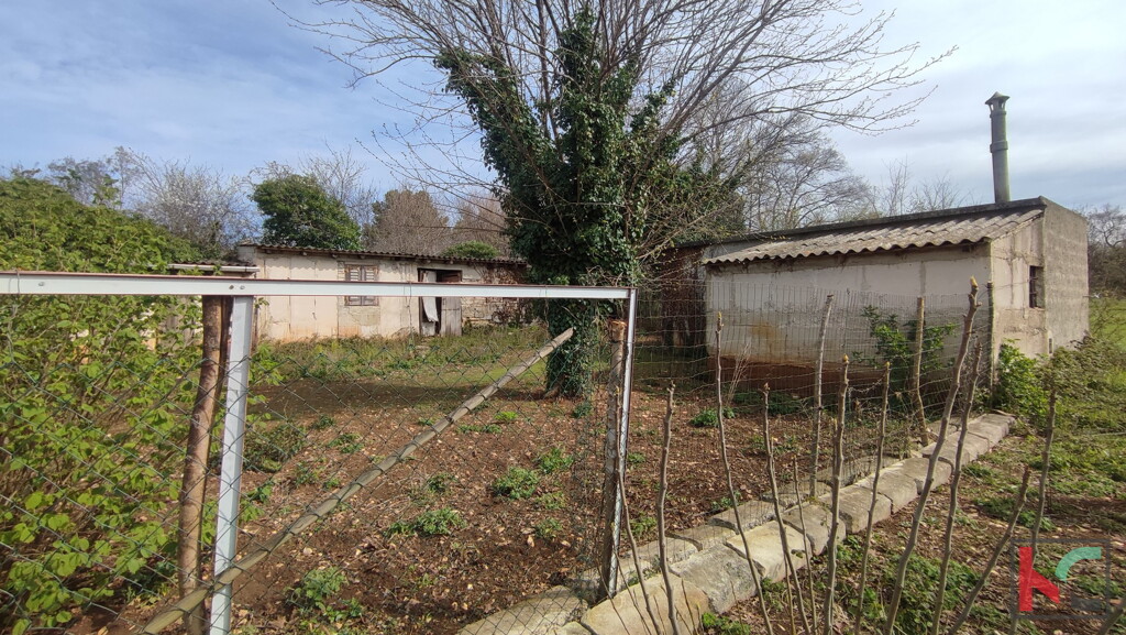 Image 6230545 - 4