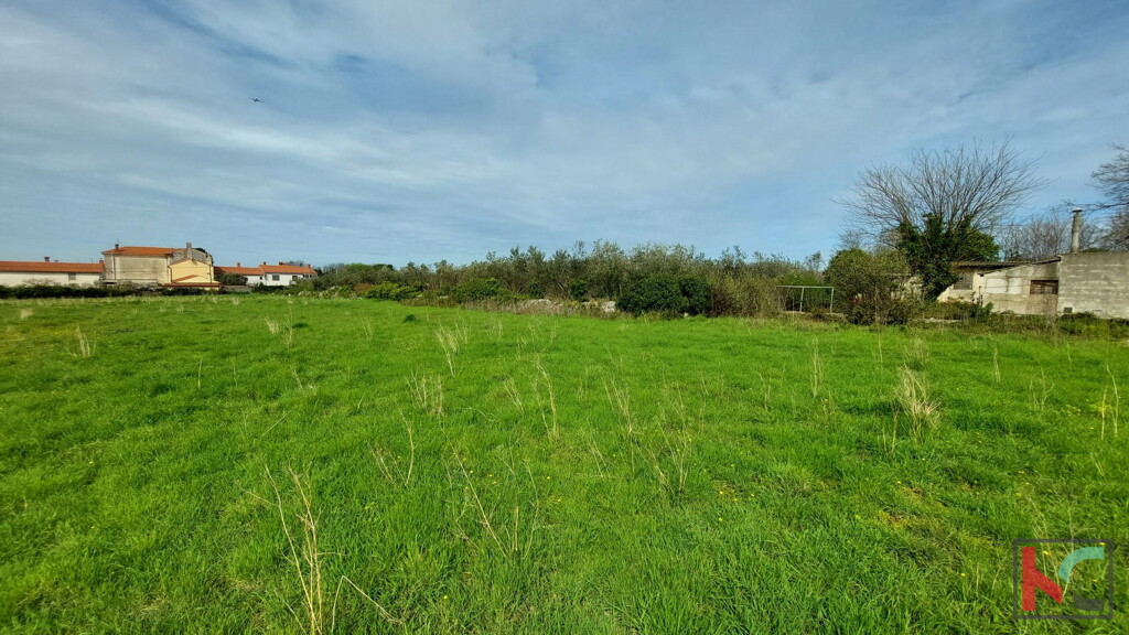 Image 6230545 - 2