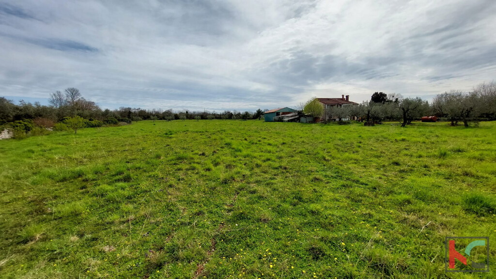 Image 6230545 - 5