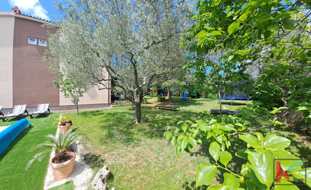Image 6230553 - 19