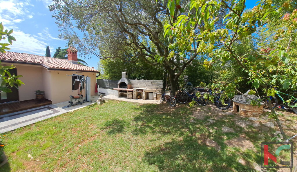 Image 6230553 - 18