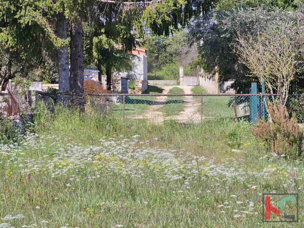 Image 6230555 - 3