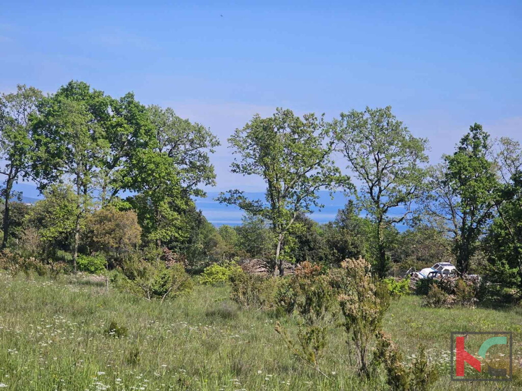 Image 6230555 - 1