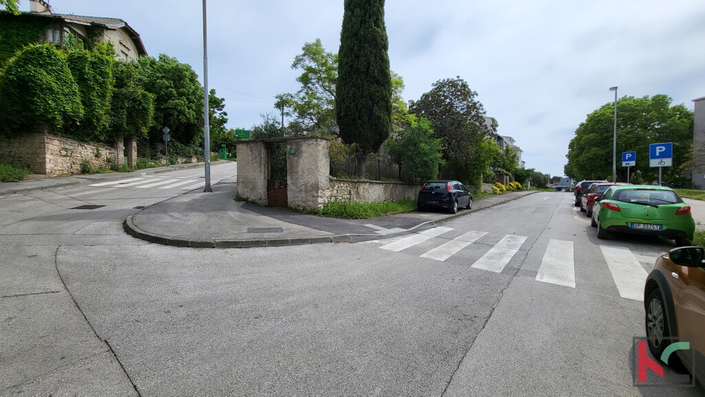 Image 6230556 - 1