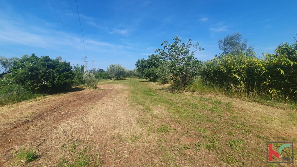 Image 6230559 - 6
