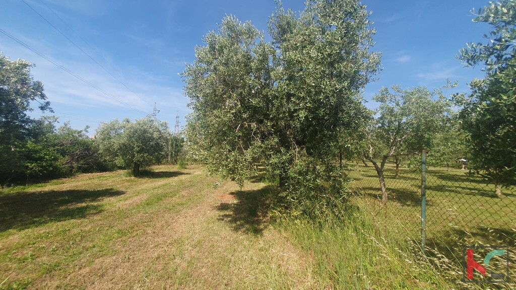 Image 6230559 - 2