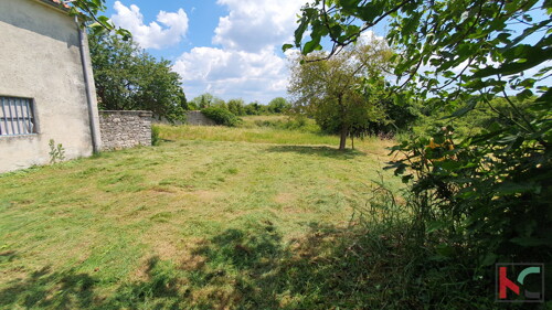 Thumbnail 6230560 - 5