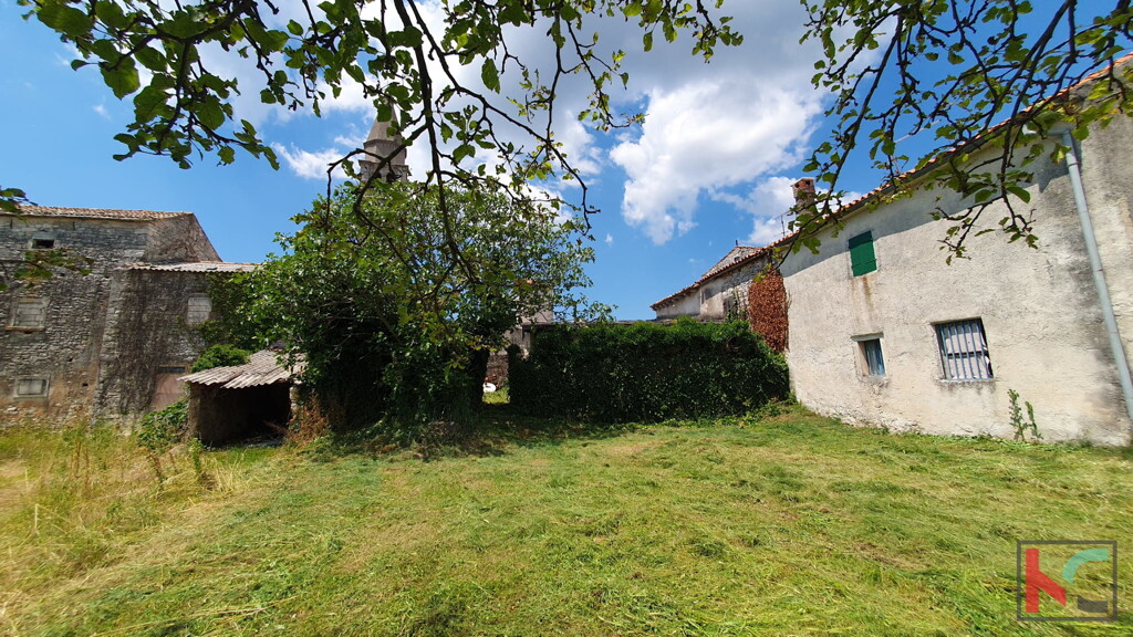 Image 6230560 - 4