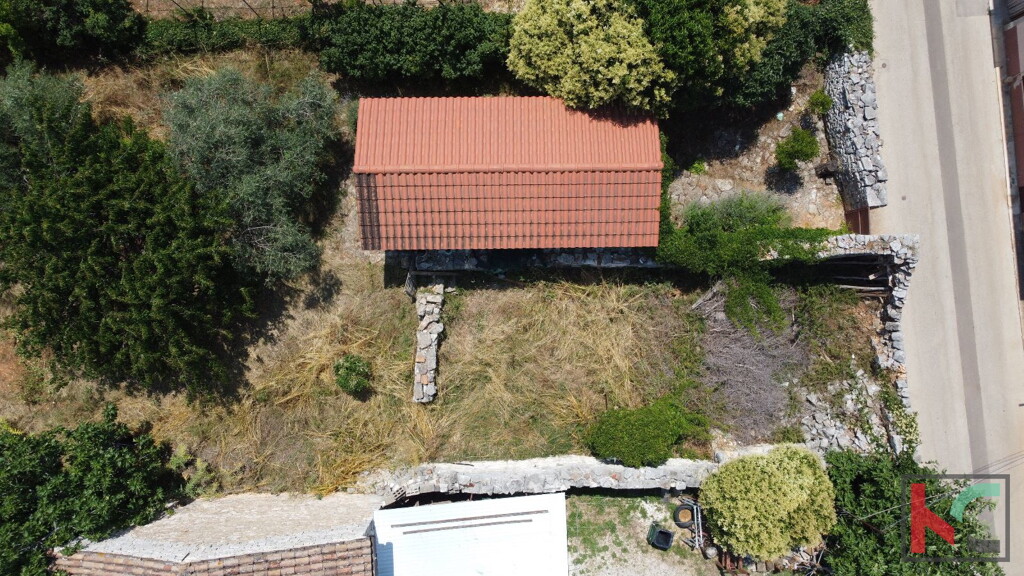 Image 6230563 - 6