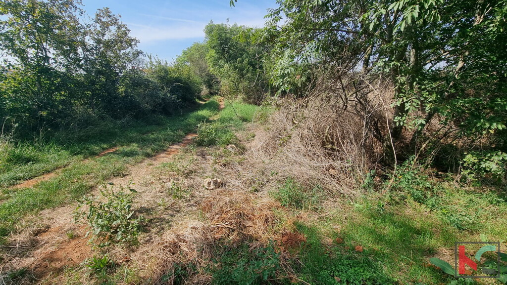 Image 6230566 - 6