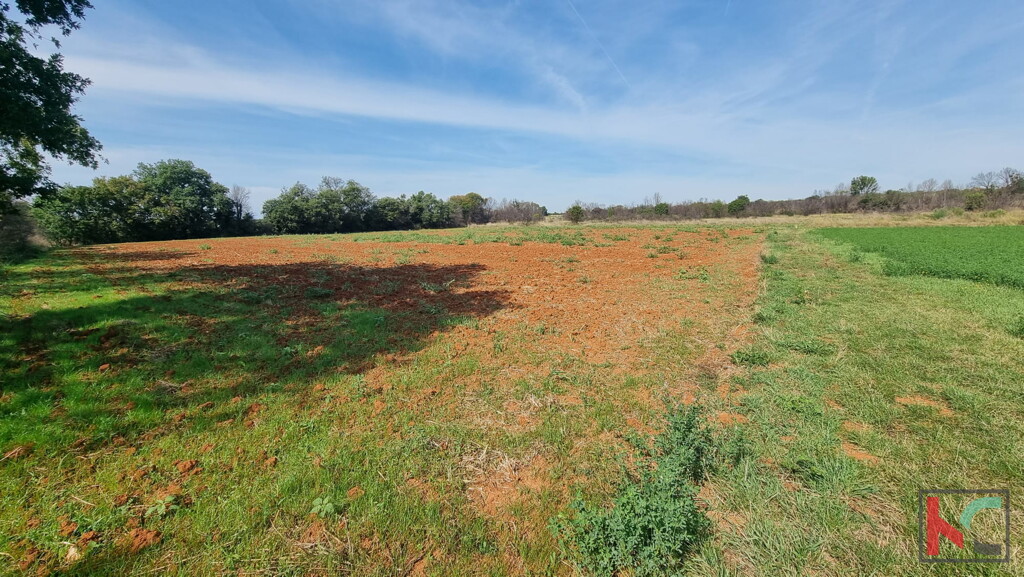 Image 6230566 - 1