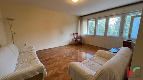 Thumbnail 6230567 - 1