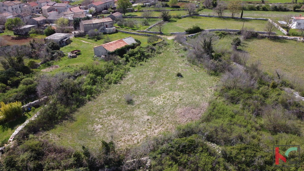 Image 6230570 - 5