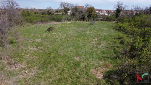 Thumbnail 6230570 - 6