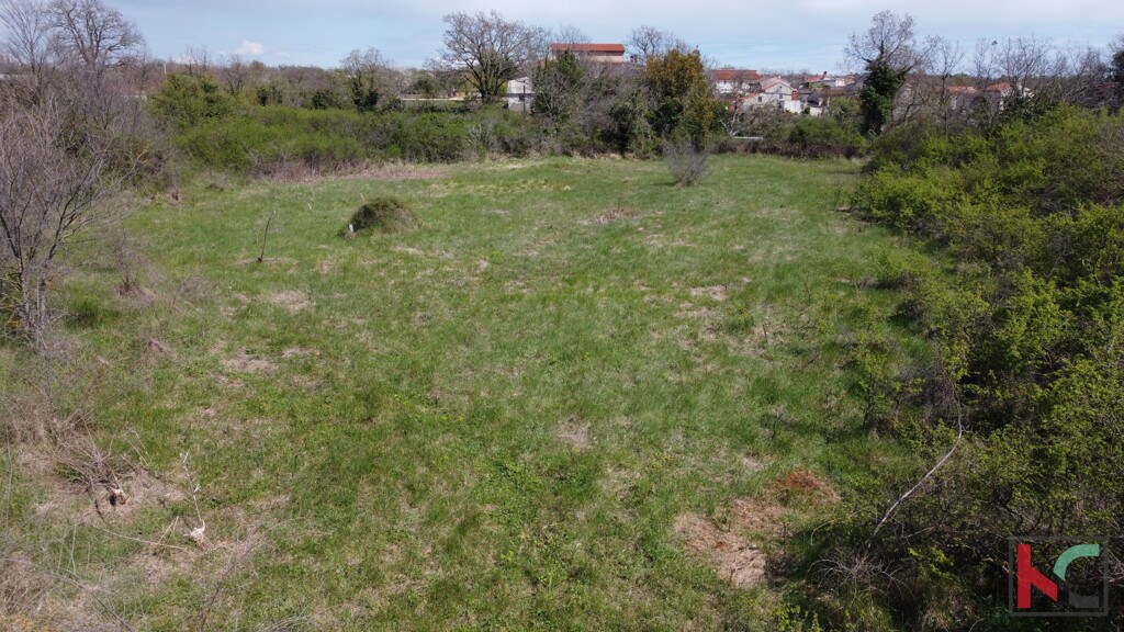 Image 6230570 - 6