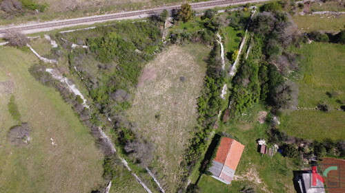 Thumbnail 6230570 - 3