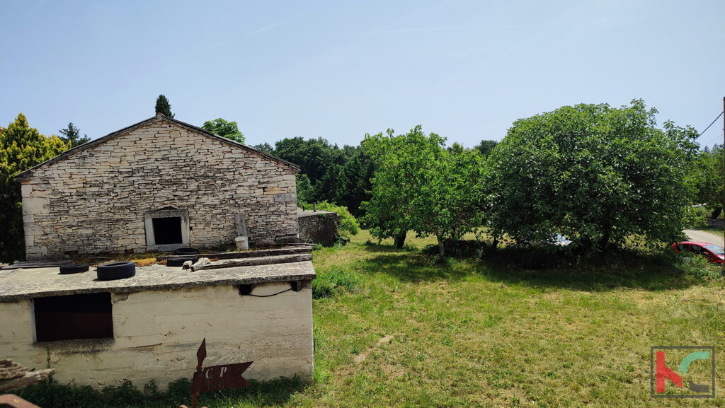 Image 6230572 - 8