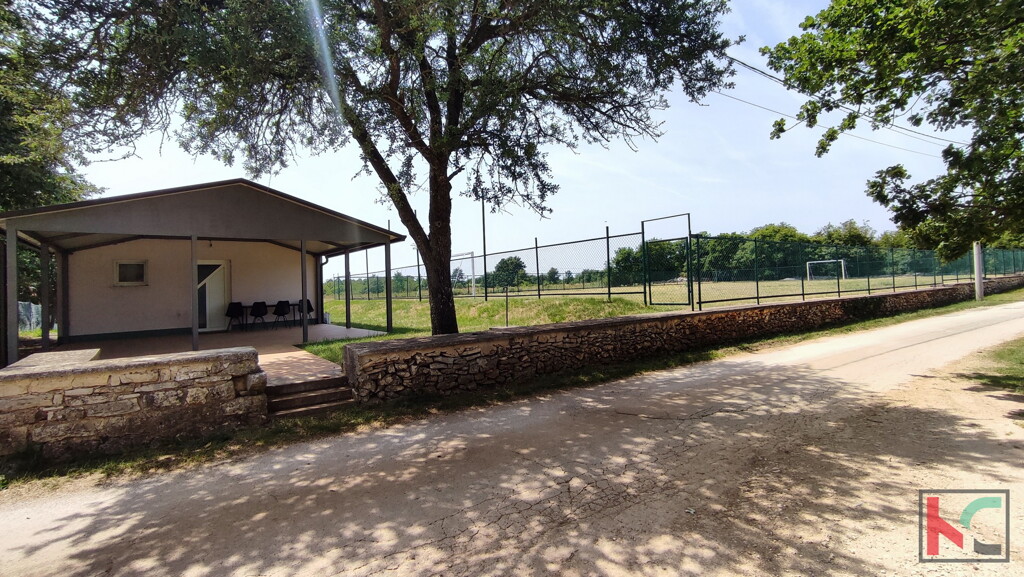 Image 6230572 - 5