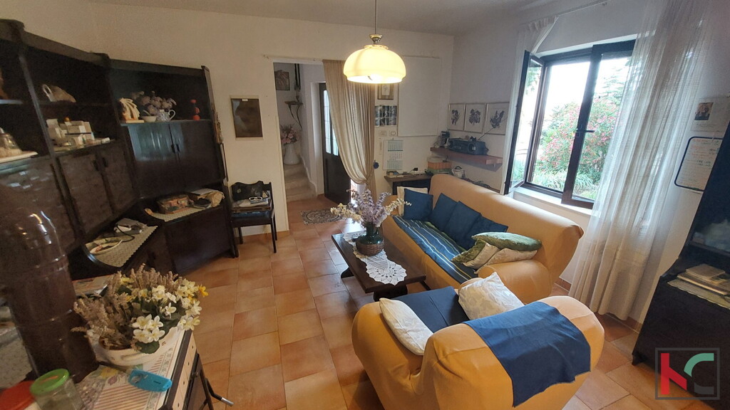Image 6230576 - 2