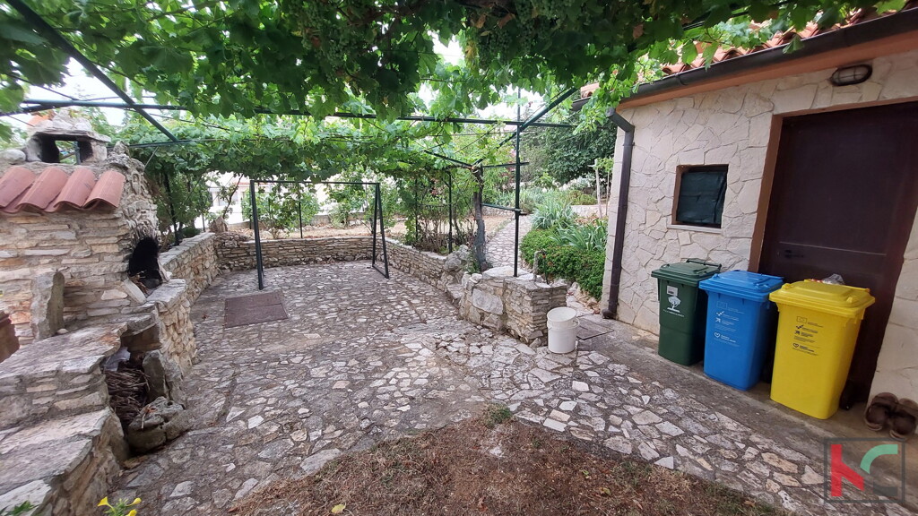 Image 6230576 - 24