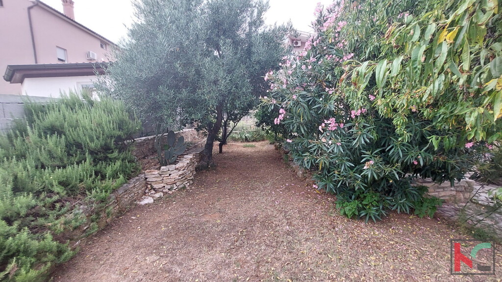 Image 6230576 - 29