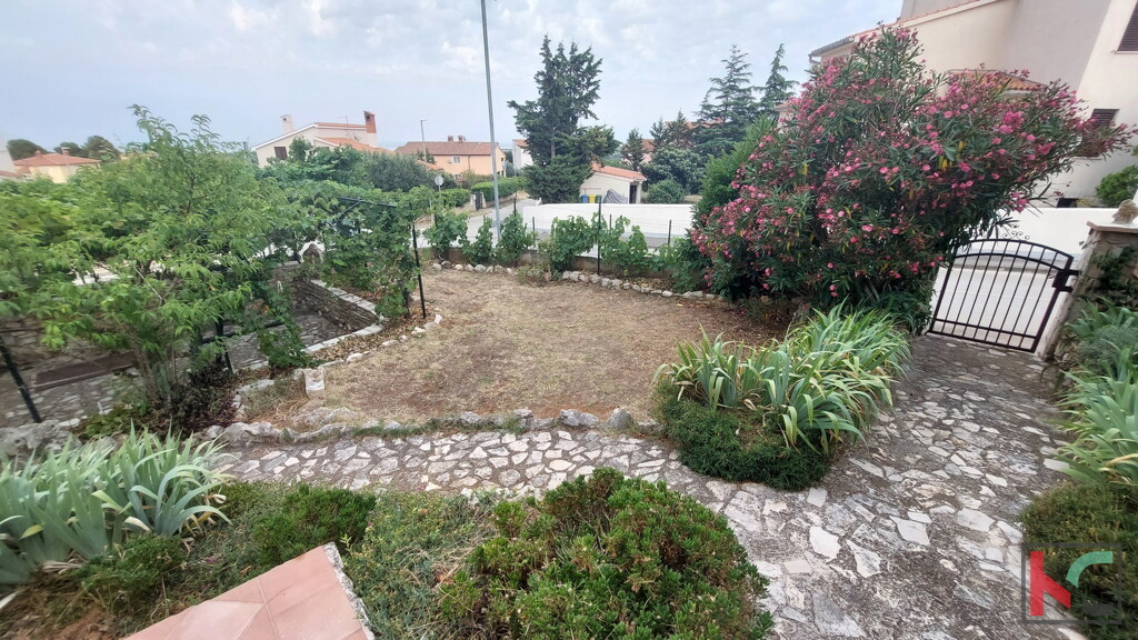 Image 6230576 - 1