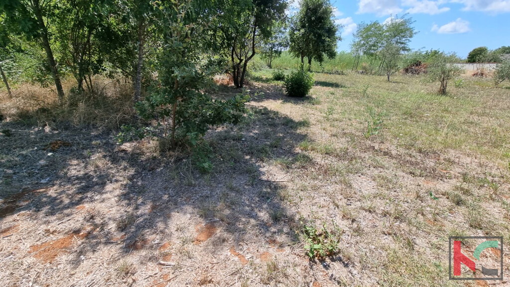 Image 6230579 - 2
