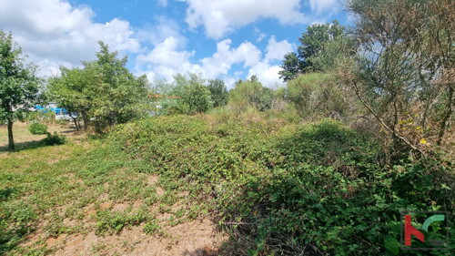 Thumbnail 6230579 - 1